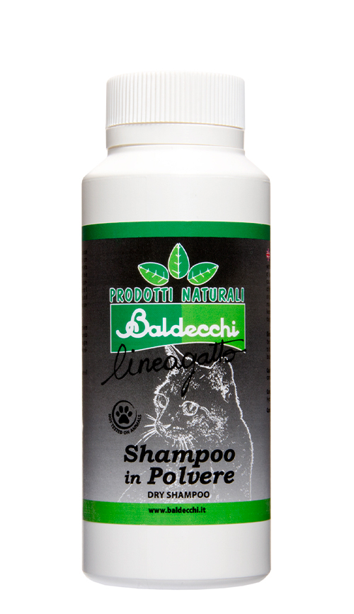 Dry Shampoo G