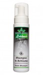 Shampoo in Schiuma G