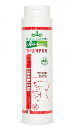 Perfumed Shampoo